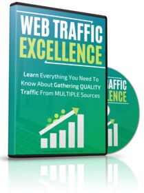 Web Traffic Excellence small