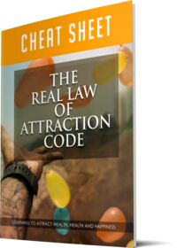 The Real Law Of Attraction Code small