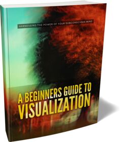 A Beginners Guide To Visualization small