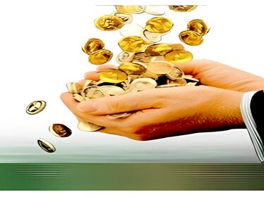 The Money Secret small