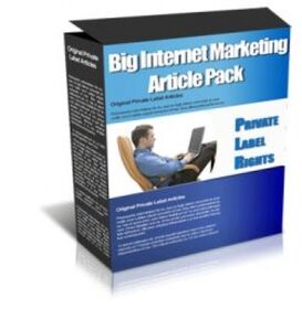 Big Internet Marketing Article Pack small