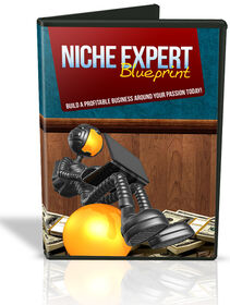 Niche Expert Blueprint small
