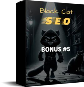 Black Cat SEO small