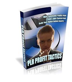 PLR Profit Tactics small