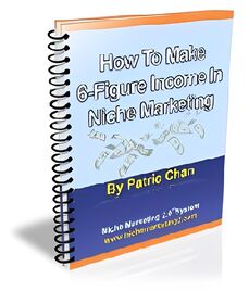 How To Make 6-Figure Income In Niche Marketing small