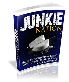Junkie Nation small