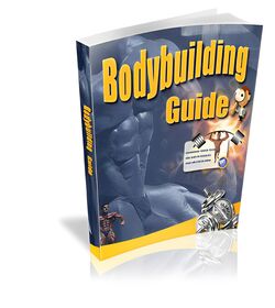 Bodybuilding Guide small