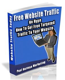 Free Website Traffic small