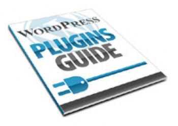 Wordpress Plugins Guide small