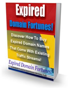 Expired Domain Fortunes! small