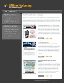 Offline Marketing Niche Site small