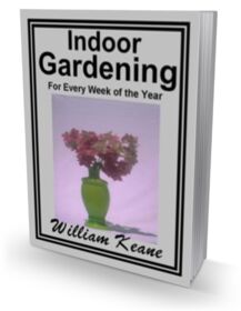 Indoor Gardening small