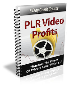 PLR Video Profits small
