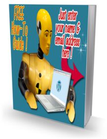 WP Websites For Dumb Dumbs small