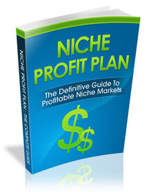 Niche Profit Plan small