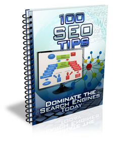 100 SEO Tips small
