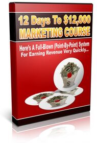 12 Days To $12,000 Marketing Course small