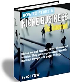 How to Start A Niche Business On Internet small