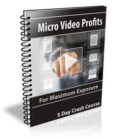 Micro Video Profits small