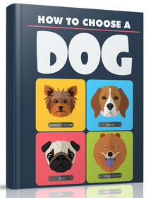 How to Choose A Dog small
