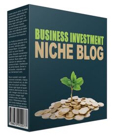 Done-For-You Business Investment Niche Site small
