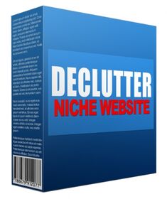 Declutter Flipping Niche Site small