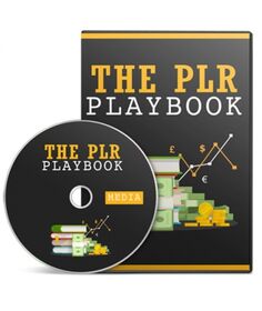 PLR Playbook Workshop small